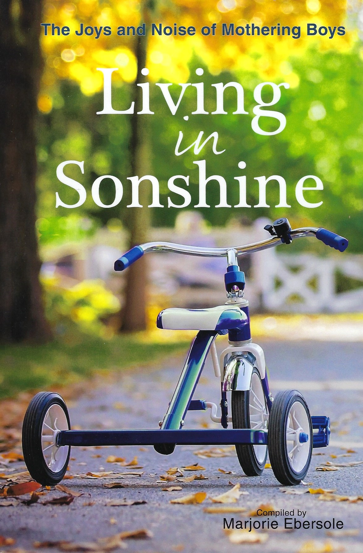 LIVING IN SUNSHINE Marjorie Ebersole - Click Image to Close